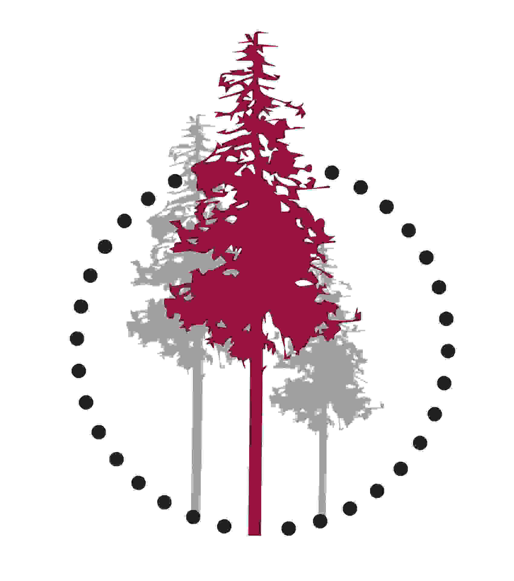 Redwud Creations Healthcare Digital Marketing Agency